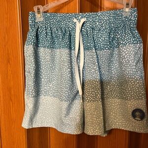 Chubbies Teal and White Swim Trunks